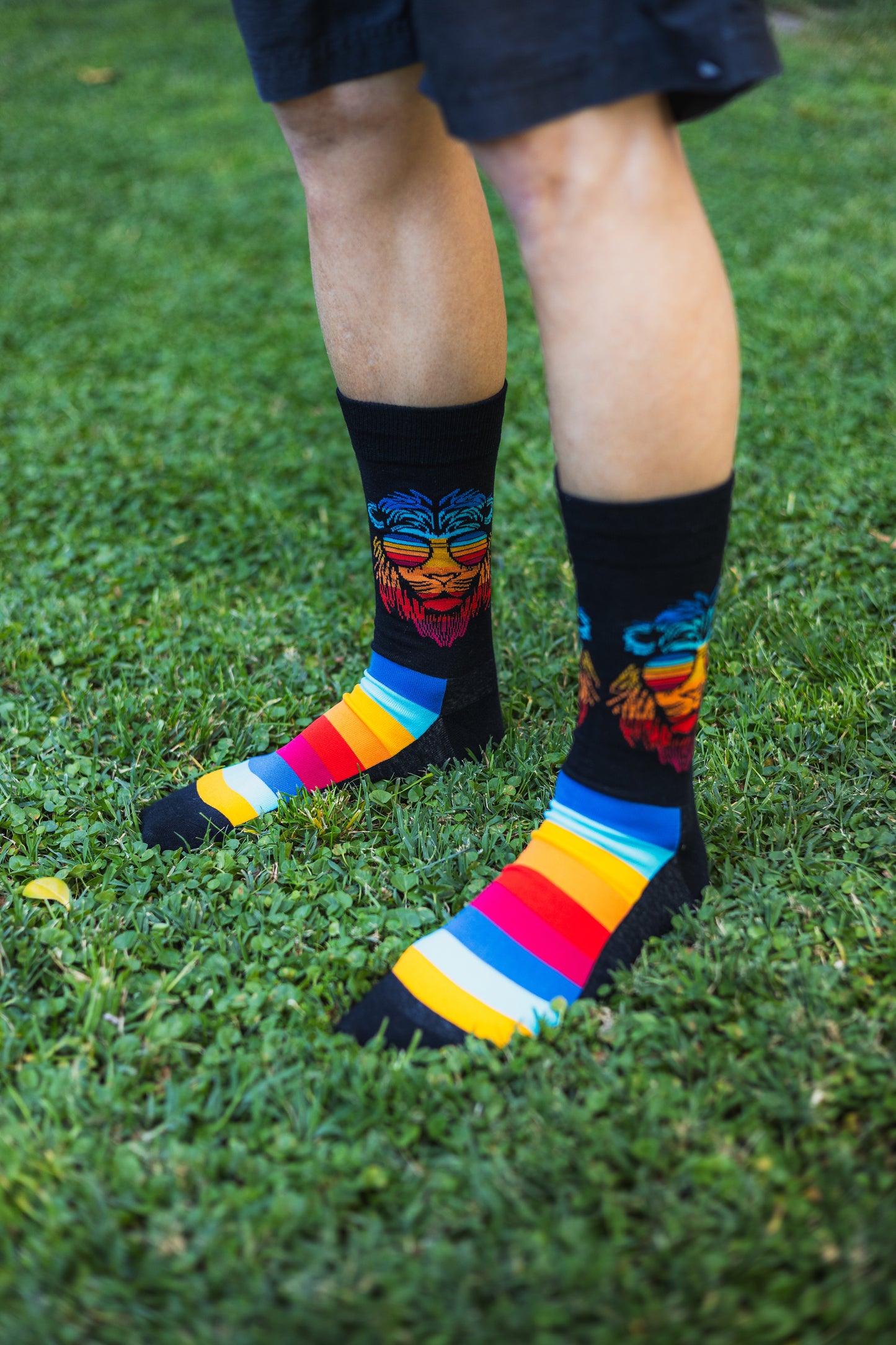 LEON REGGAE Calcetines Bacanes