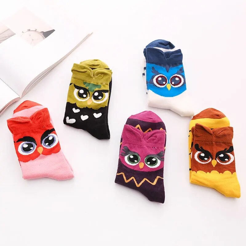 Buho Collection