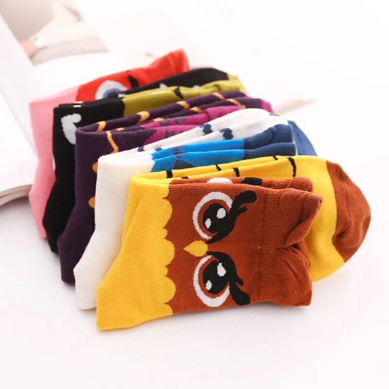 Buho Collection