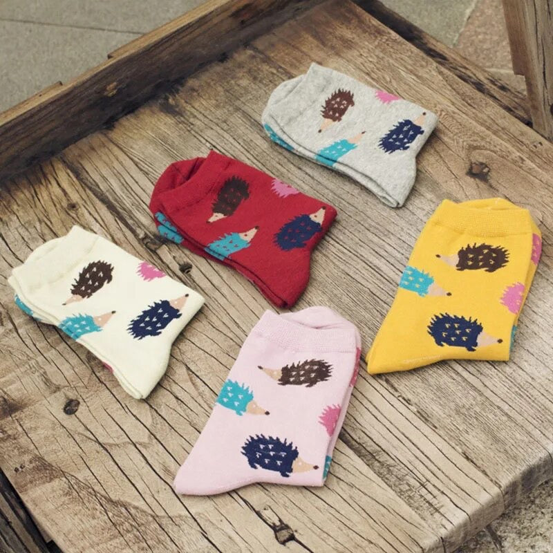 Puercoespín Collection 🦔✨