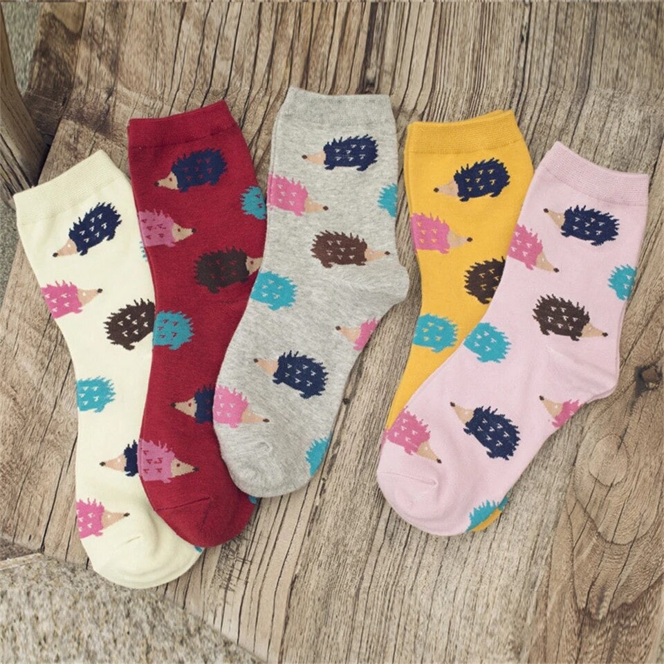 Puercoespín Collection 🦔✨