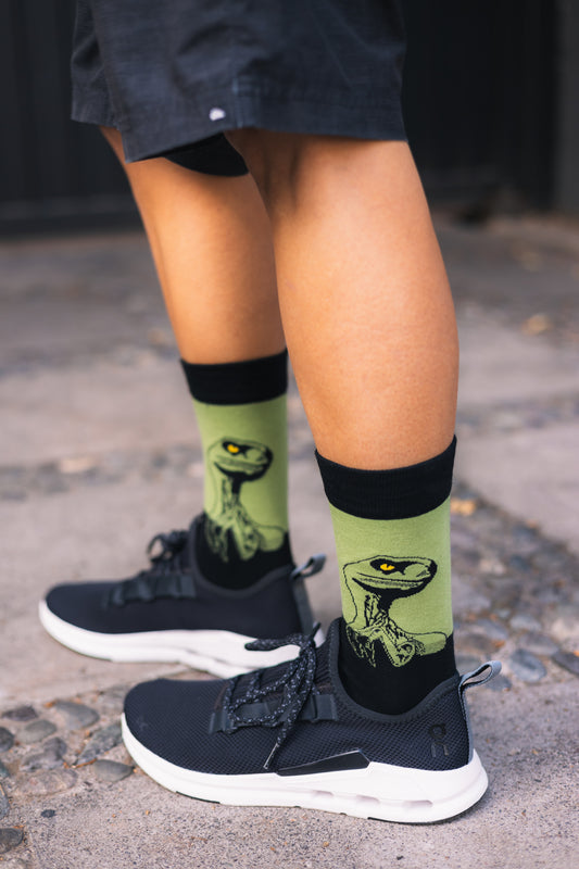 DINO     Calcetines Bacanes