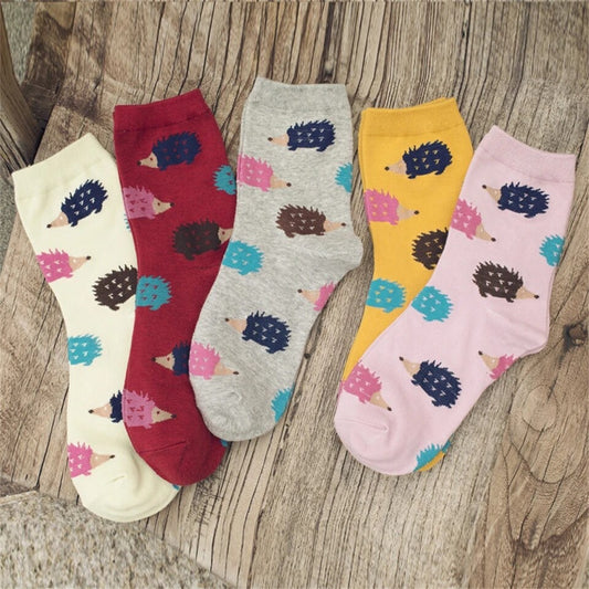 Puercoespín Collection 🦔✨
